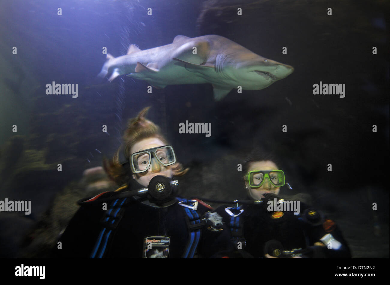 Deux filles profitez d'une plongée de requin à la Deep Sea World Aquarium près d'Édimbourg. Banque D'Images