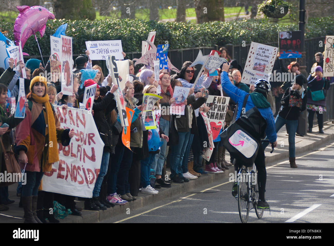 Londres, 21 février 2014. Les défenseurs des droits des animaux de protestation devant l'ambassade du Japon à Londres contre le massacre des dauphins à Taiji Cove. Crédit : Paul Davey/Alamy Live News Banque D'Images