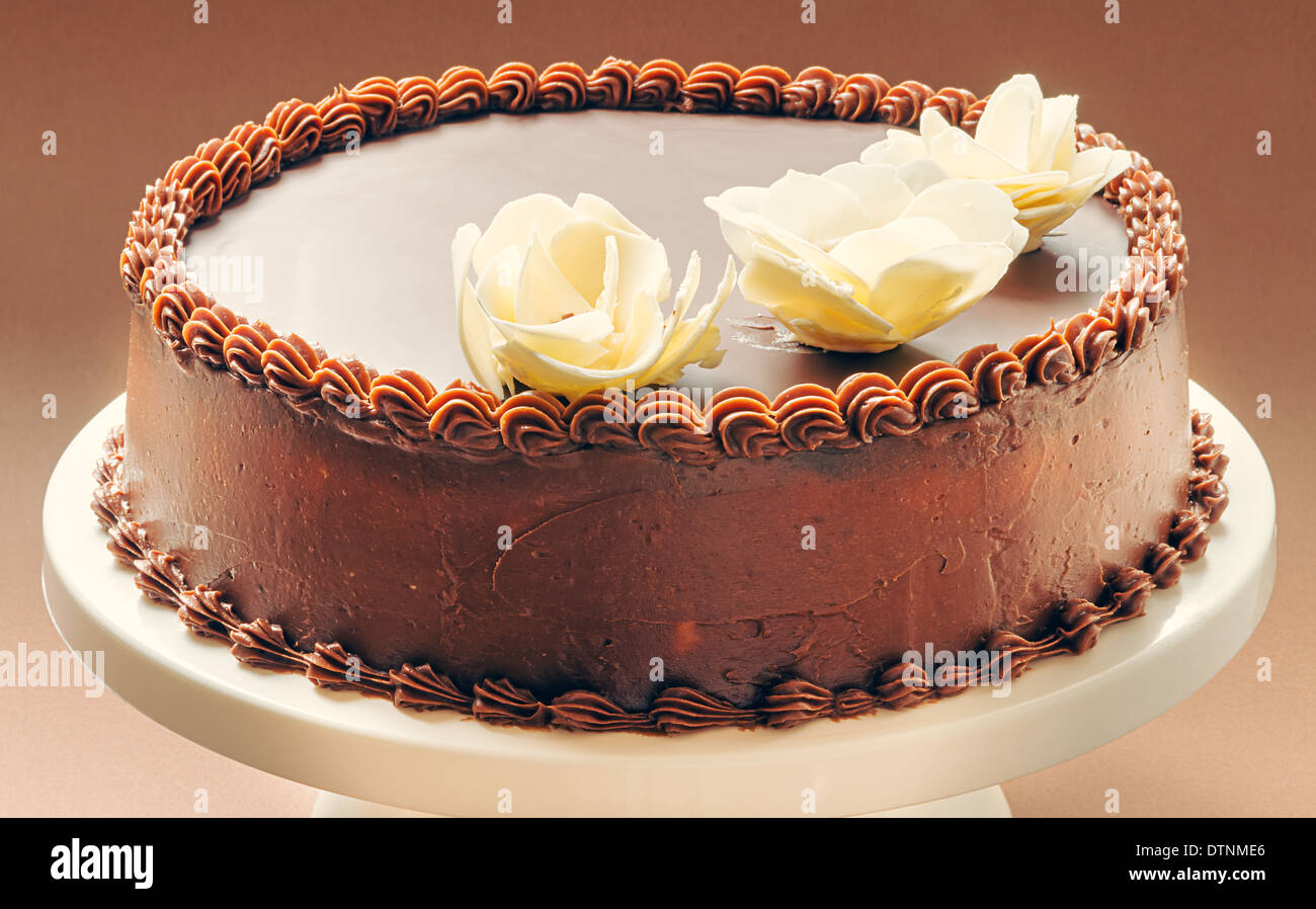 Gâteau tout chocolat, sur fond brun, décoré avec des fleurs jaunes sur le dessus. Banque D'Images