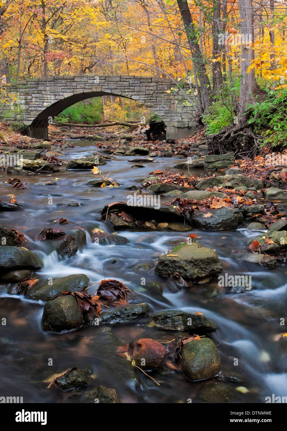A Rocky Creek coule sous un pont de pierre dans la forêt aux couleurs automnales. Banque D'Images A Rocky Creek coule sous un pont de pierre dans la forêt aux couleurs automnales. Banque D'Images