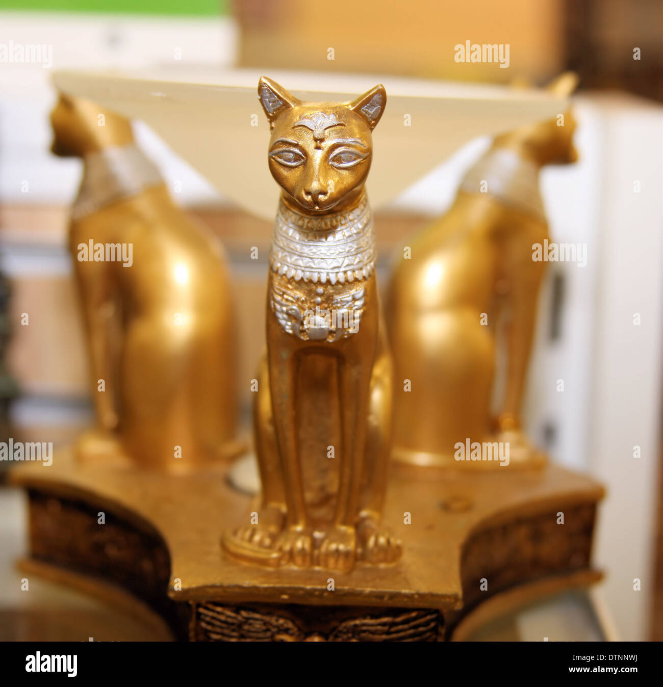 Chat avec MOTIF ÉGYPTE Banque D'Images