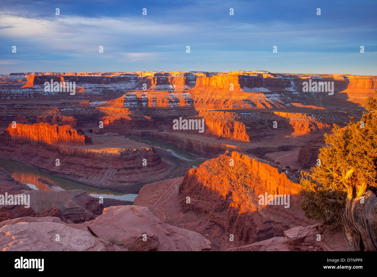 Vue de la rivière Colorado à partir de Dead Horse Point dans Canyonlands National Park, Utah, USA Banque D'Images