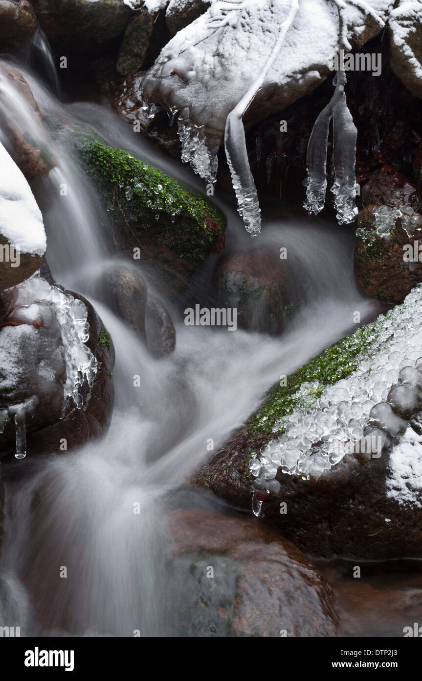 hiver Mazak Banque D'Images