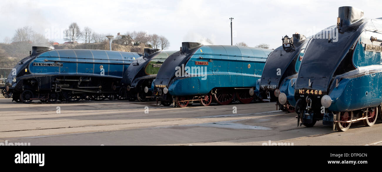 Cinq Locomotives à vapeur de classe A4 à la collecte 75 Mallard, Shildon National Railway Museum Banque D'Images