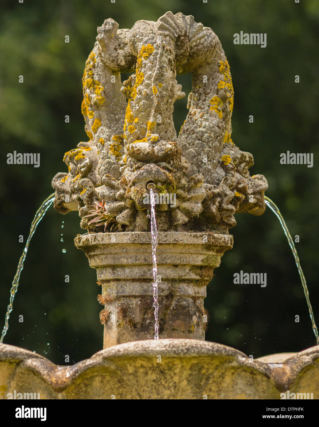 Détail d'une vieille fontaine en pierre de style classique à l'eau poisson Banque D'Images