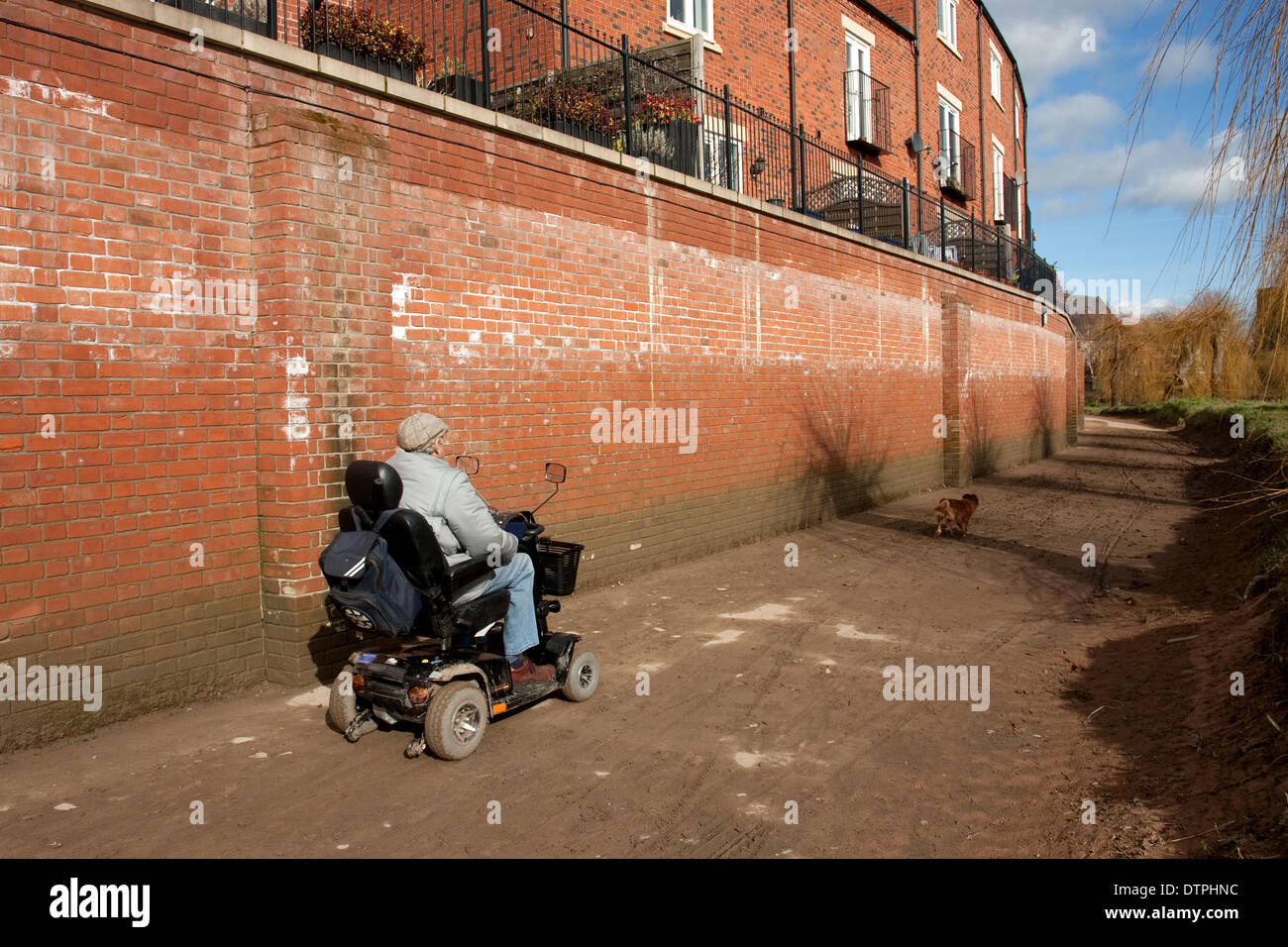 Shrewsbury, Shropshire, au Royaume-Uni. Samedi 22 février 2014. Un homme prend son chien pour une promenade le long du sentier boueux à côté de la rivière Severn. C'est la première fois que le sentier est accessible puisqu'il a été récemment inondé. Le plus haut niveau de l'eau durant l'inondation est indiqué par le bas de la tache blanche sur le mur. Malgré les sévères averses en février, l'excellente défense de Shrewsbury en sorte que beaucoup de foyers et d'entreprises ne sont pas inondées. Crédit : Richard Franklin/Alamy Live News Banque D'Images