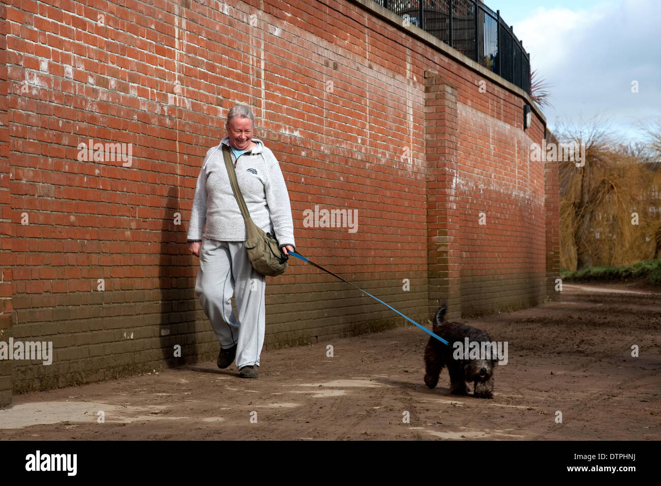 Shrewsbury, Shropshire, au Royaume-Uni. Samedi 22 février 2014. Une dame avec son chien promenades le long du sentier boueux à côté de la rivière Severn. C'est la première fois que le sentier est accessible puisqu'il a été inondé au début de février. Le plus haut niveau de l'eau durant l'inondation est indiqué par le haut de la tête au niveau du patch humide le long du mur. Malgré les sévères averses en février, l'excellente défense de Shrewsbury en sorte que beaucoup de foyers et d'entreprises ne sont pas inondées. Crédit : Richard Franklin/Alamy Live News Banque D'Images