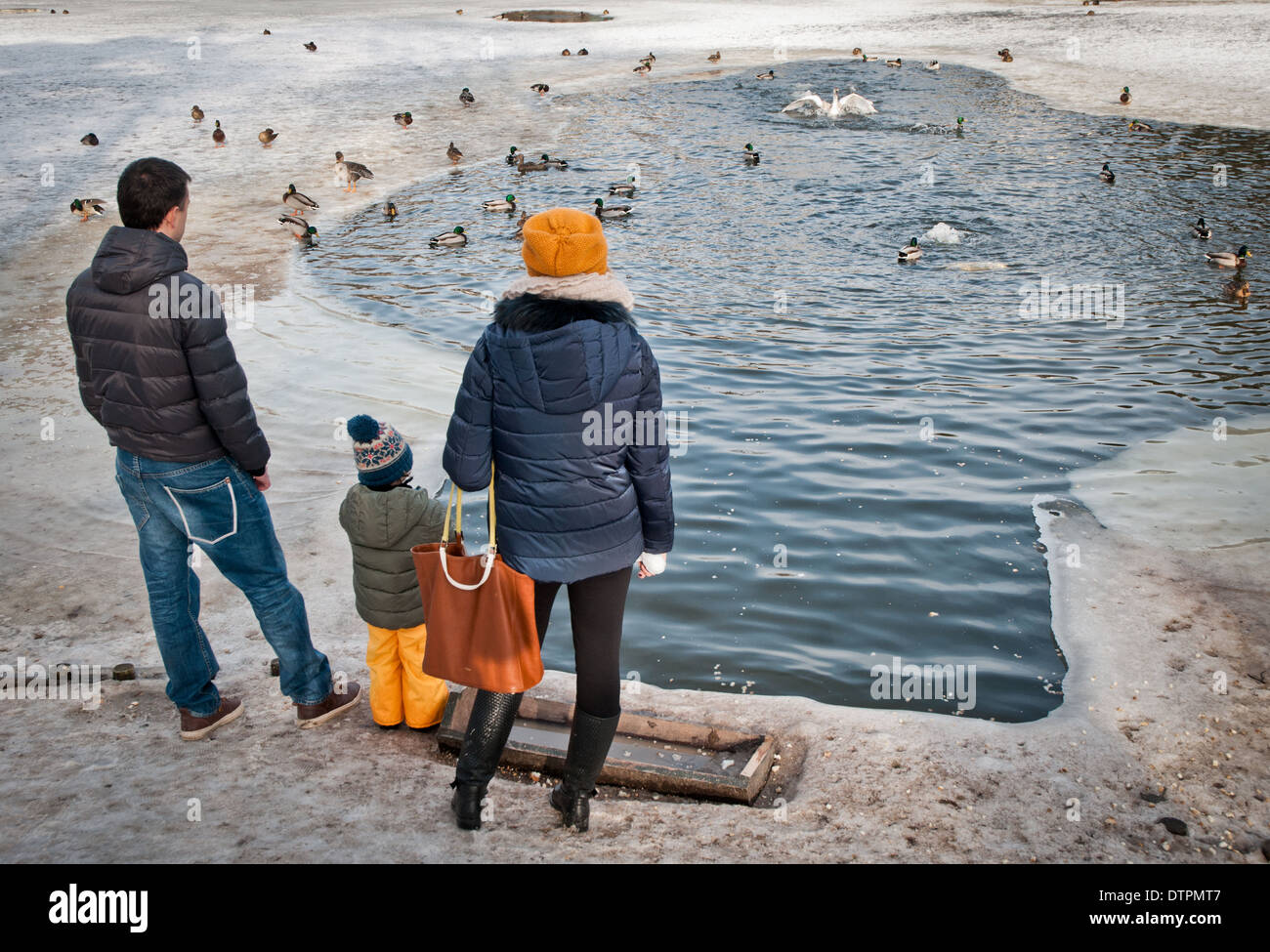 Image Ours Polaire Sur Une Plage Qui Cache Quelque Chose Bain d'oiseaux avec de la glace Banque de photographies et d'images à haute  résolution - Page 2 - Alamy