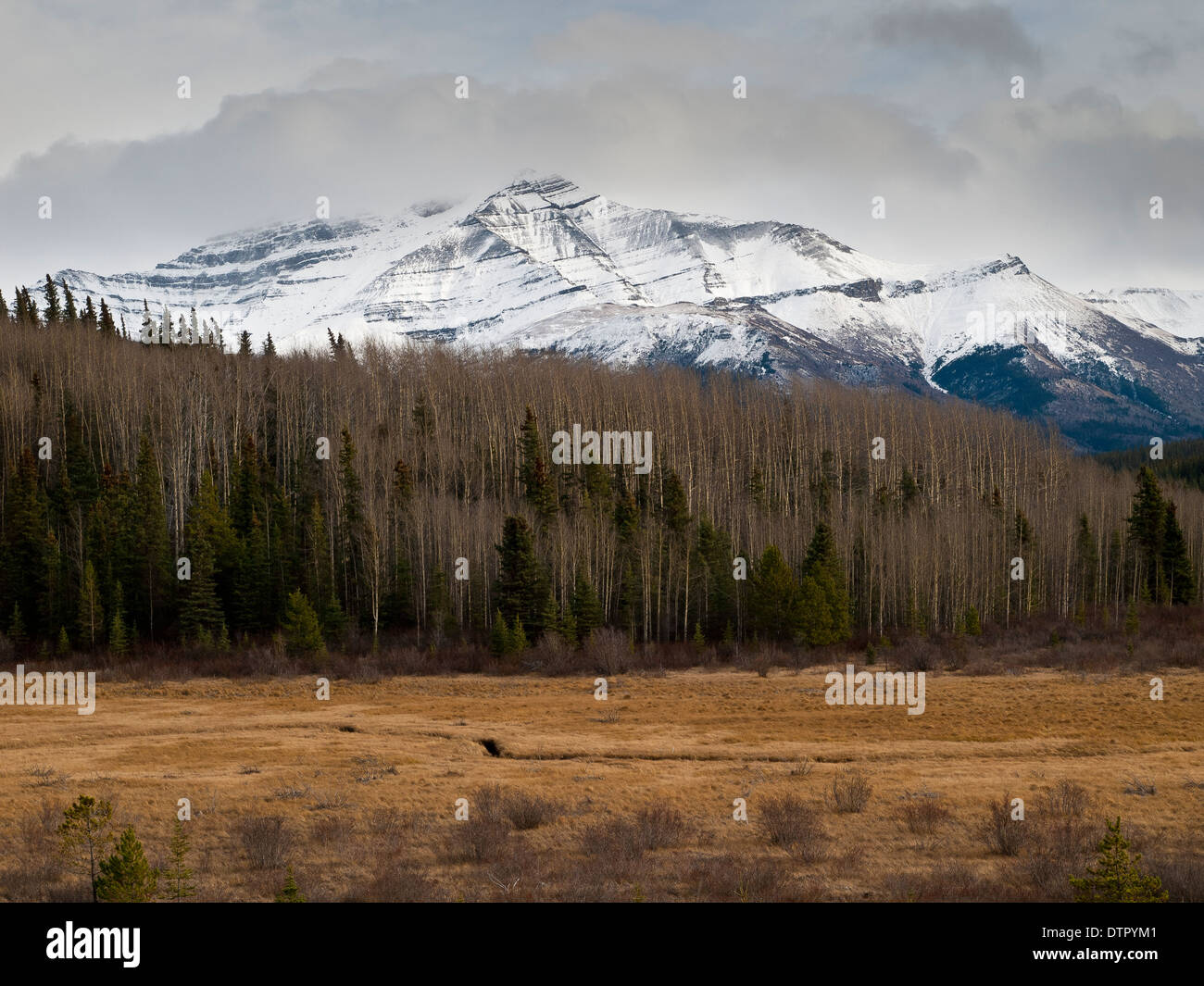 Montagnes Cassiar Banque D'Images