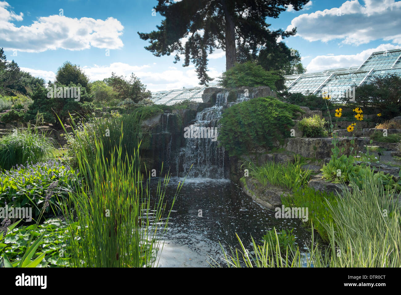 Cascade dans les jardins botaniques royaux de Kew, Angleterre Banque D'Images