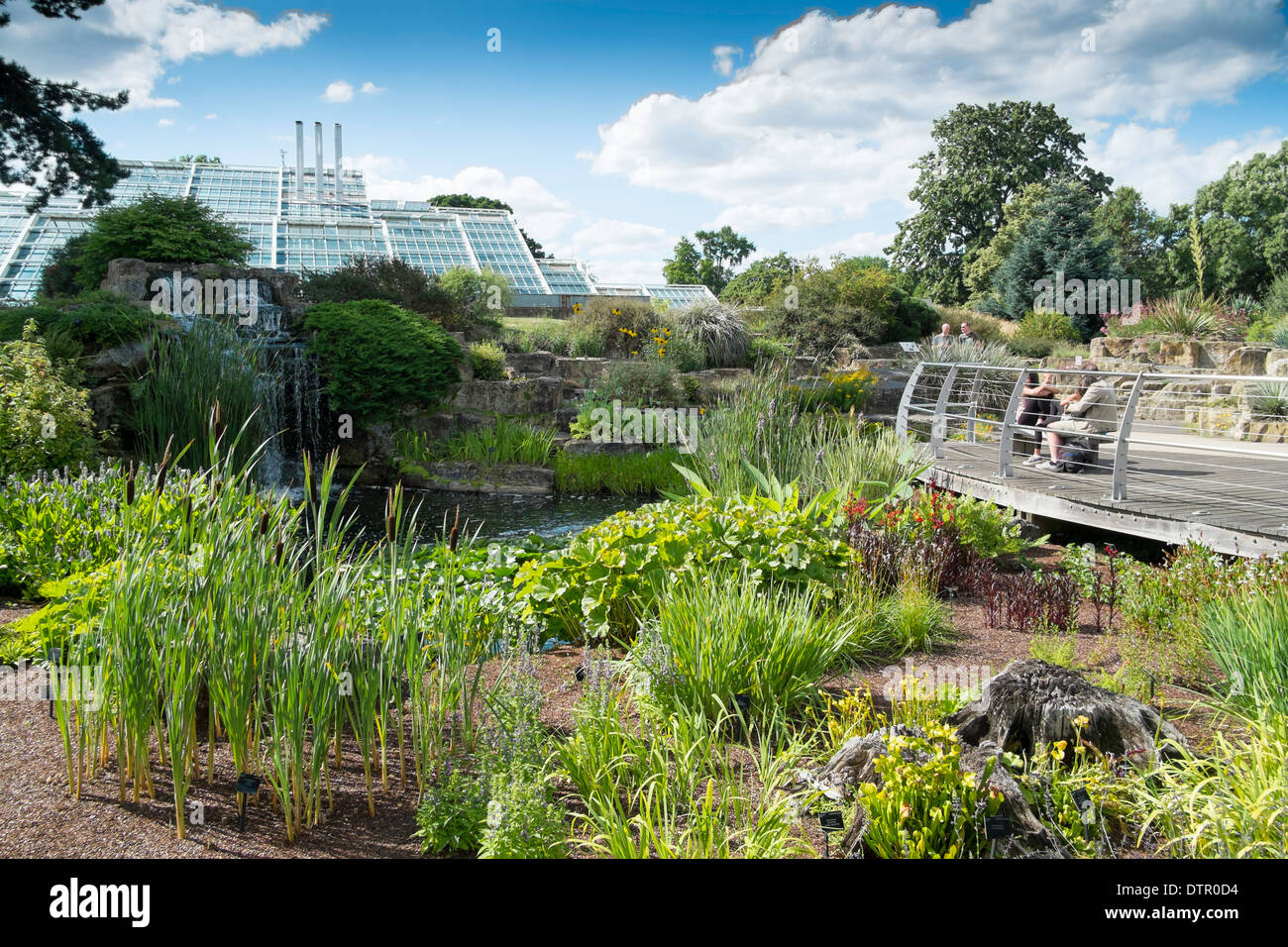 Vue vers le Princess of Wales conservatory Royal Botanic Gardens, Kew, Angleterre Banque D'Images