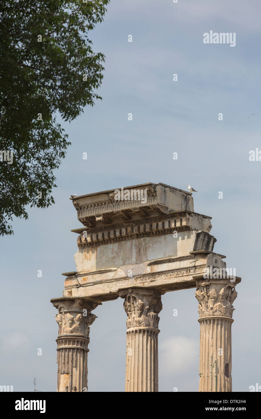 Détail de colonnes et l'entablement du Temple de Castor et Pollux, le forum romain, Rome, Italie Banque D'Images