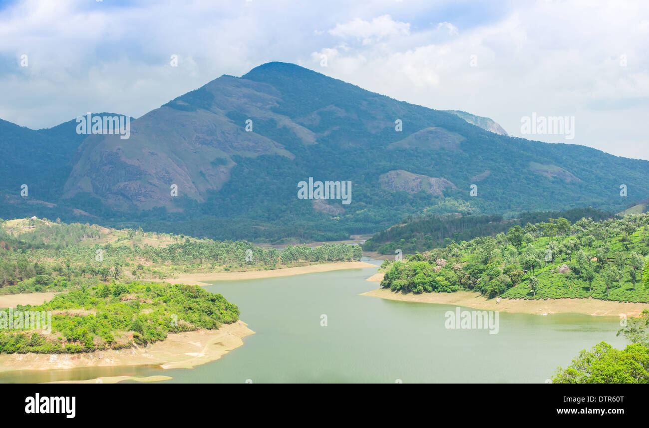 Beau paysage de la plantations de thé avec les montagnes et la rivière, Munnar Kerala, Inde Banque D'Images