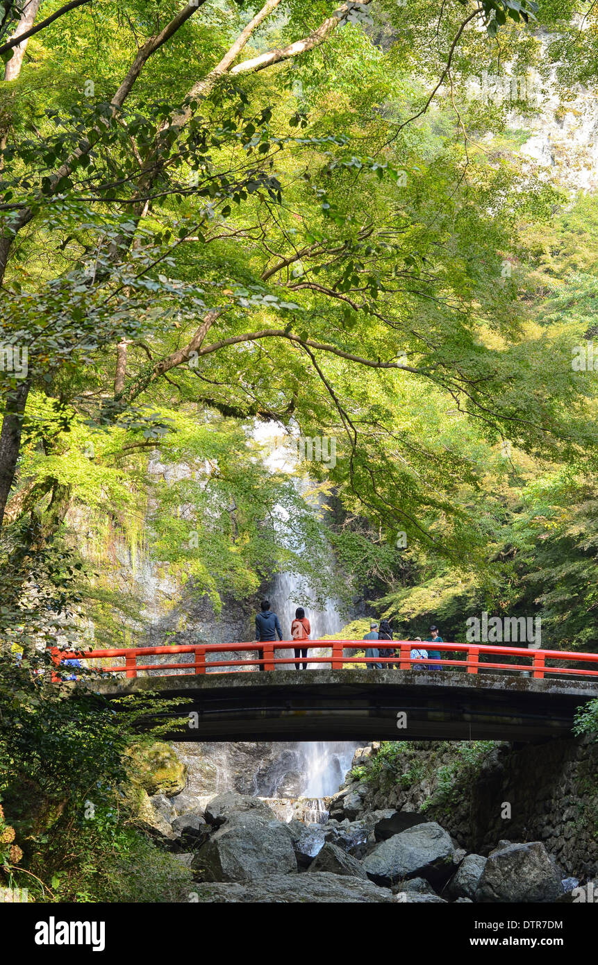 Minoh tombe dans le parc Minoh près d'Osaka au Japon. Banque D'Images