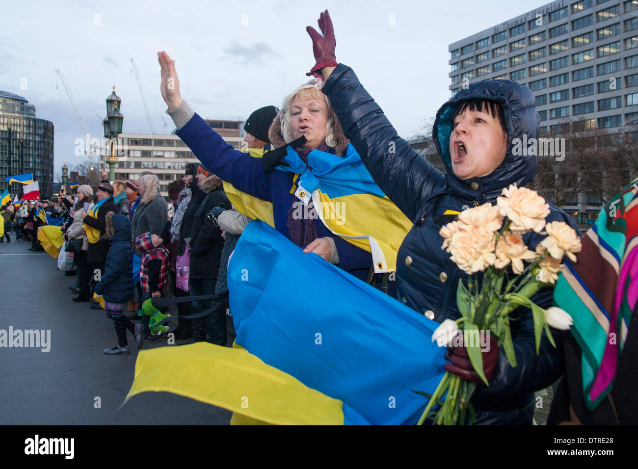 Londres, Royaume-Uni. Feb 23, 2014. Des centaines d'Ukrainiens ont formé une chaîne humaine sur le pont de Westminster pour célébrer la sortie de puissance du régime de Ianoukovitch, et pour pleurer les scores tués au cours de l'insurrection de Kiev dans la semaine précédente. Crédit : Paul Davey/Alamy Live News Banque D'Images