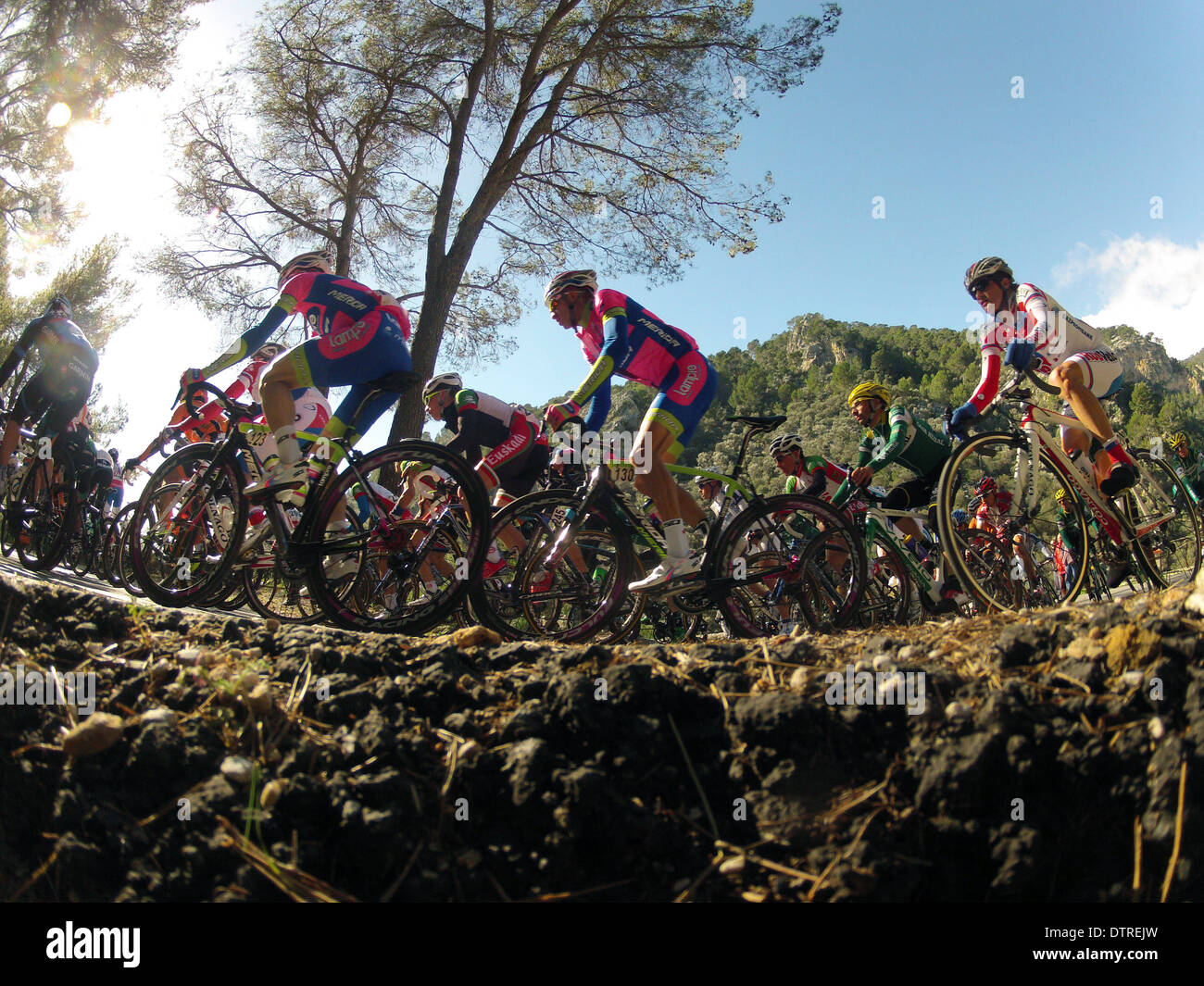 Le pack de pilotes pendant une étape du cycle de la Mallorca's tour à vélo dans l'étape de montagne de Tramuntana, à Majorque, Espagne Banque D'Images