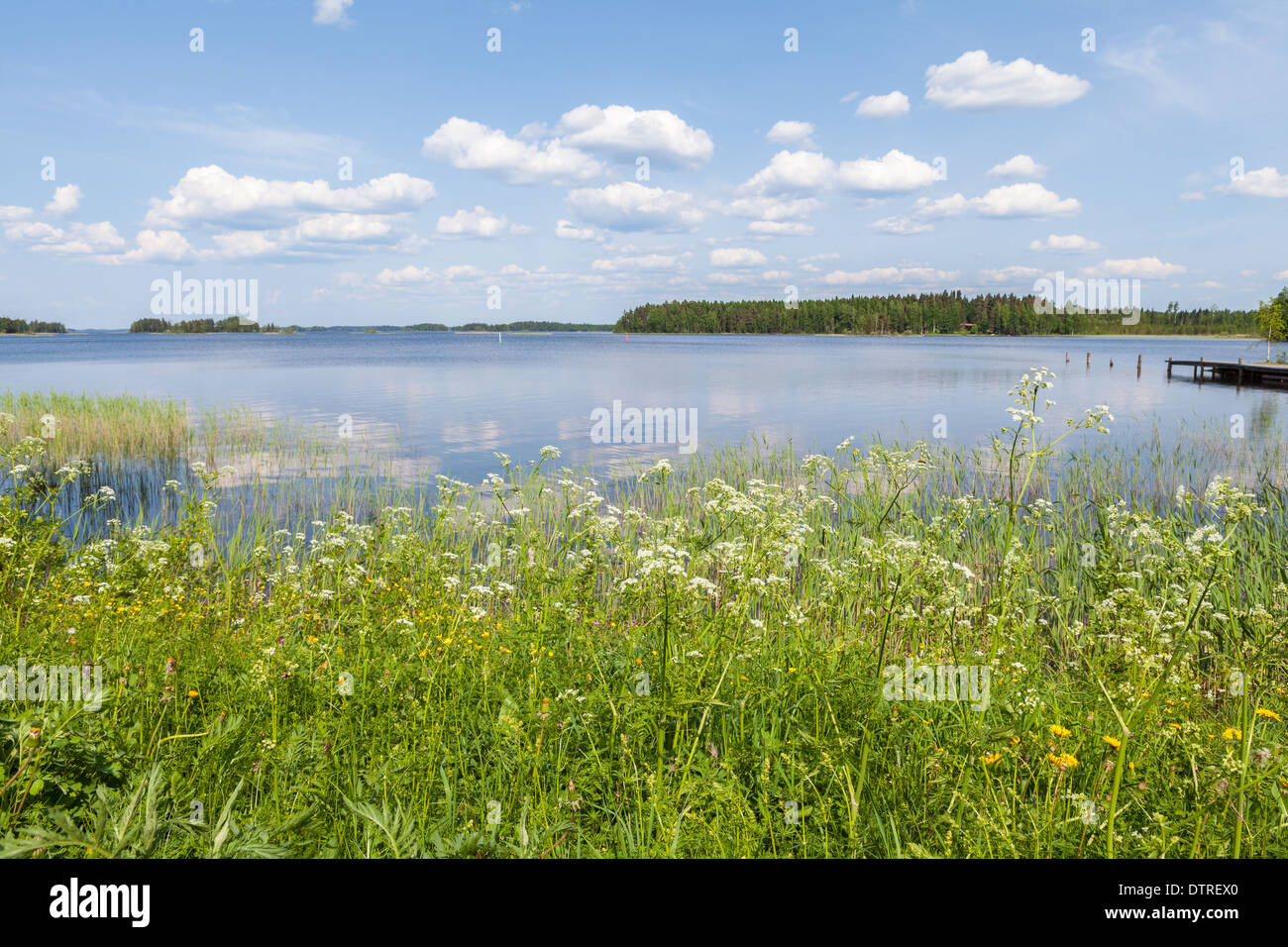Vue sur le lac d'été Banque D'Images