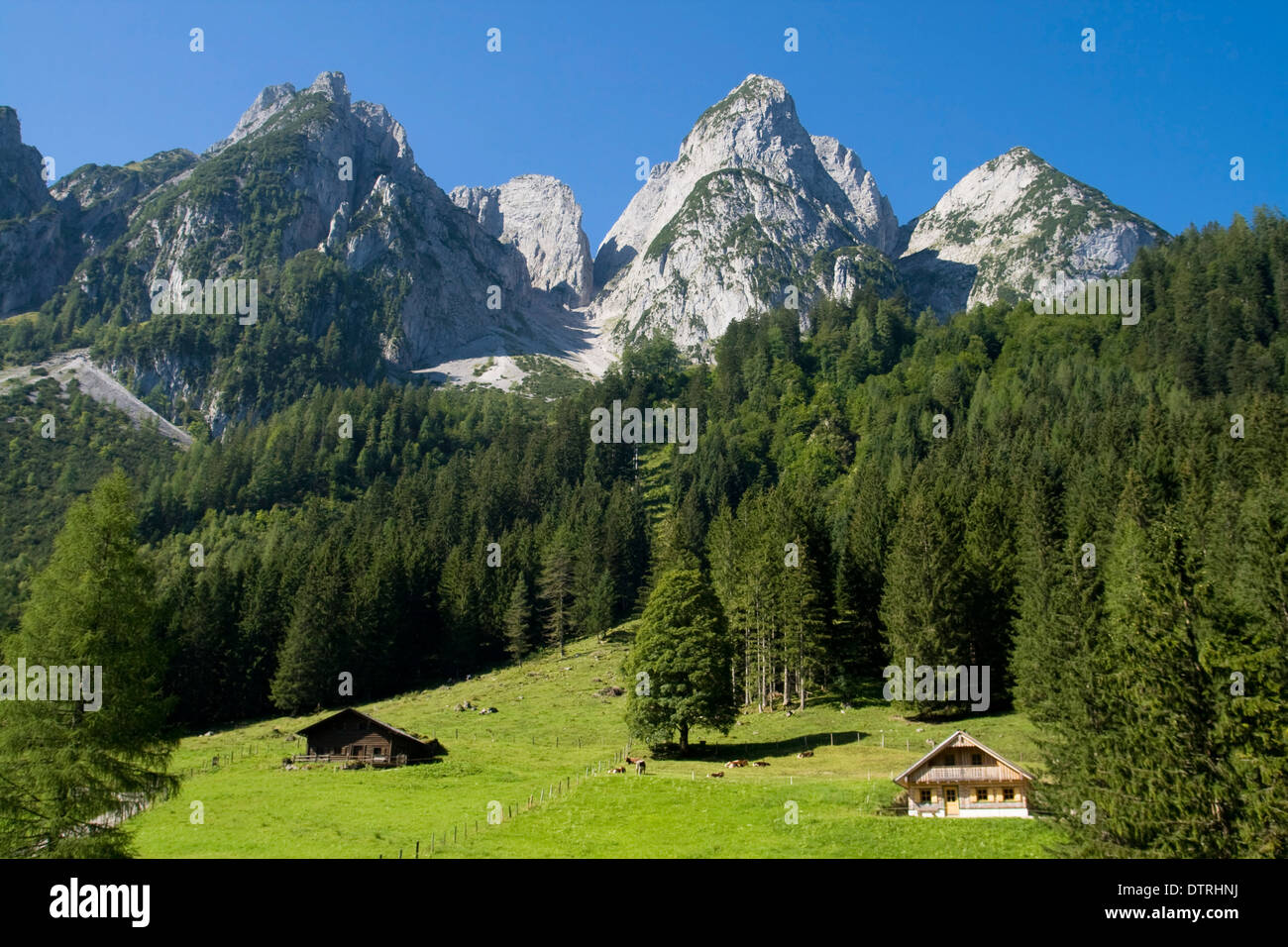 Prairie alpine avec certains chalets et l'Gosau sommets de montagnes en arrière-plan, en Autriche. Banque D'Images