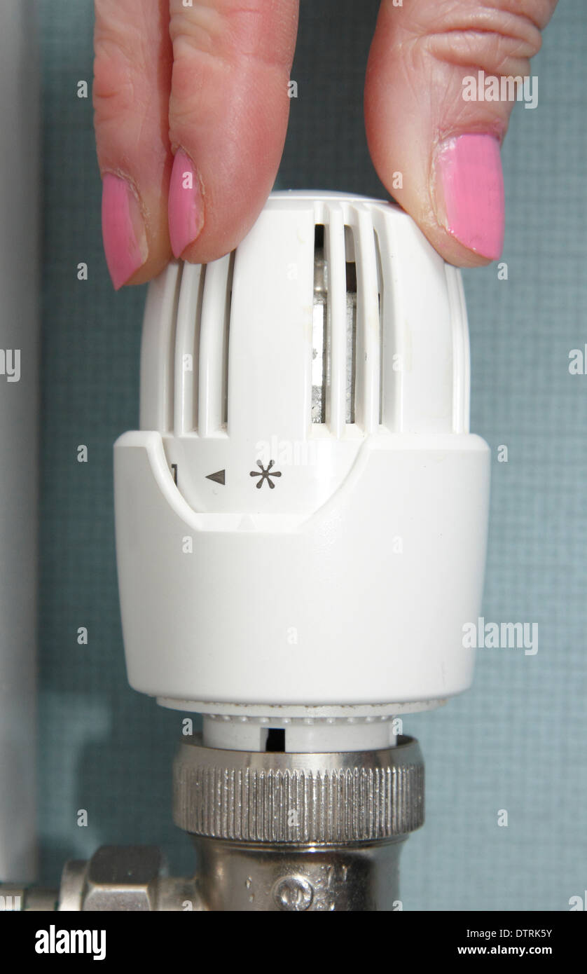 Femme tournant/radiateur Thermostatique Vanne/ haut/bas sur le système de chauffage central dans la maison, England, UK Banque D'Images