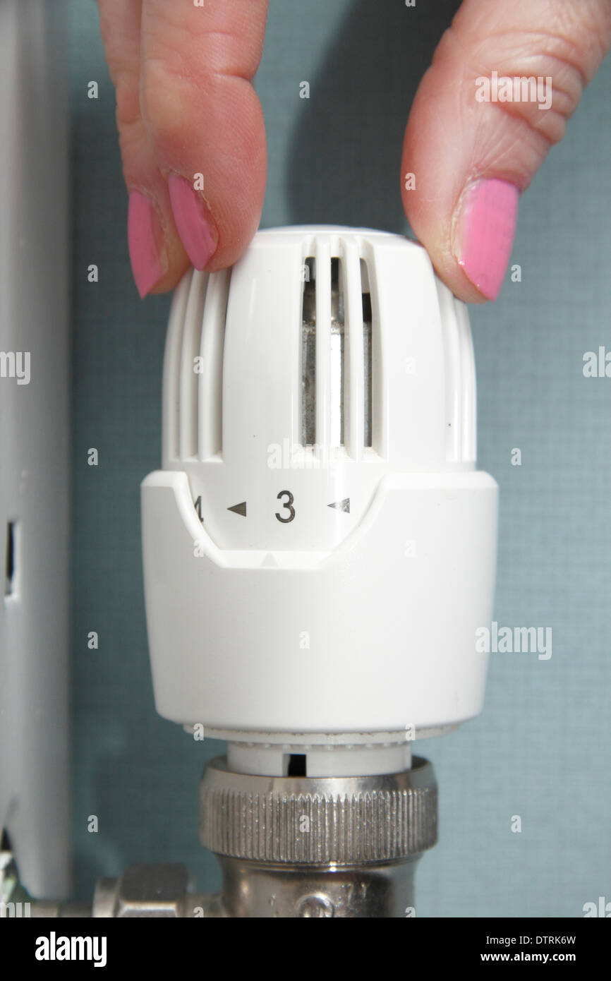 Femme tournant/radiateur Thermostatique Vanne/ haut/bas sur le système de chauffage central dans la maison, England, UK Banque D'Images