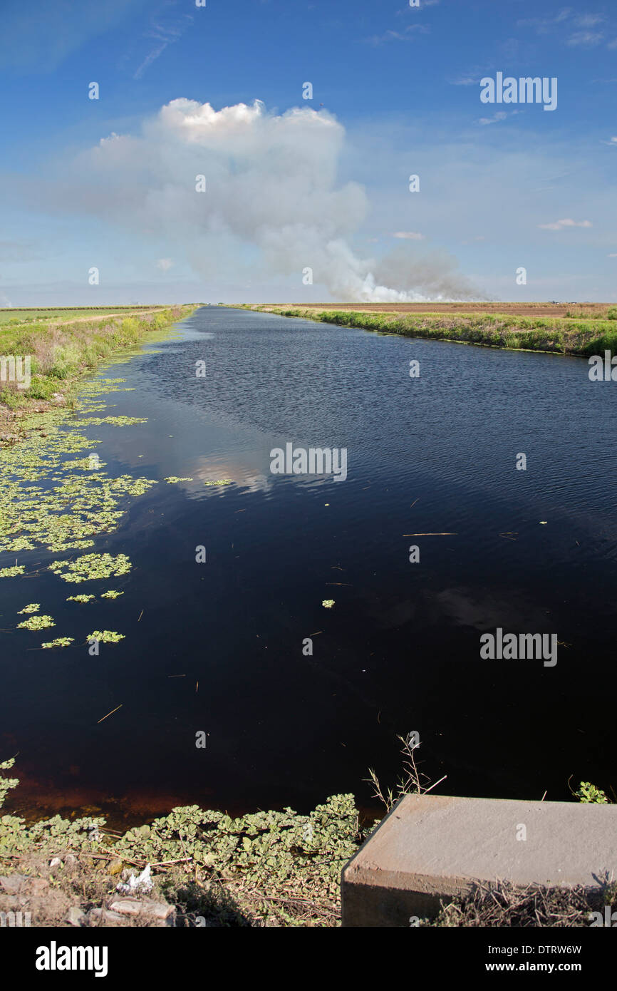 Un canal près du lac Okeechobee, en Floride. Banque D'Images Un canal près du lac Okeechobee, en Floride. Banque D'Images