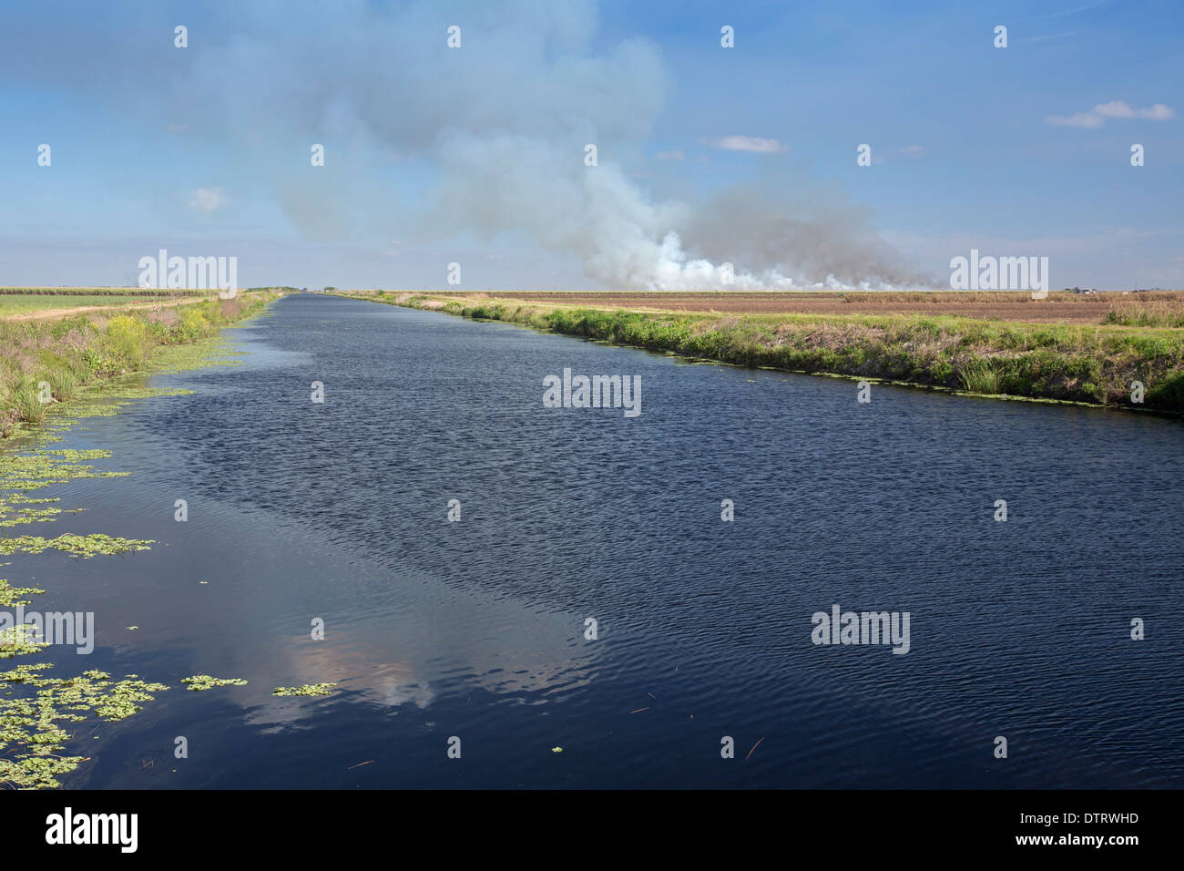 Un canal près du lac Okeechobee, en Floride. Banque D'Images Un canal près du lac Okeechobee, en Floride. Banque D'Images