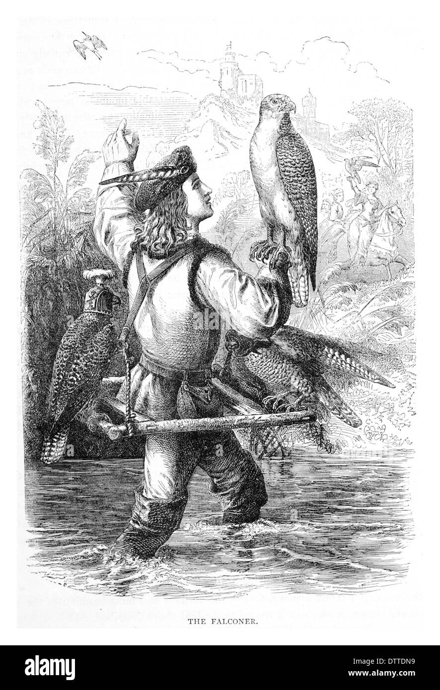 La fauconnerie Falconer hawking falcon faucon gamehawking Banque D'Images