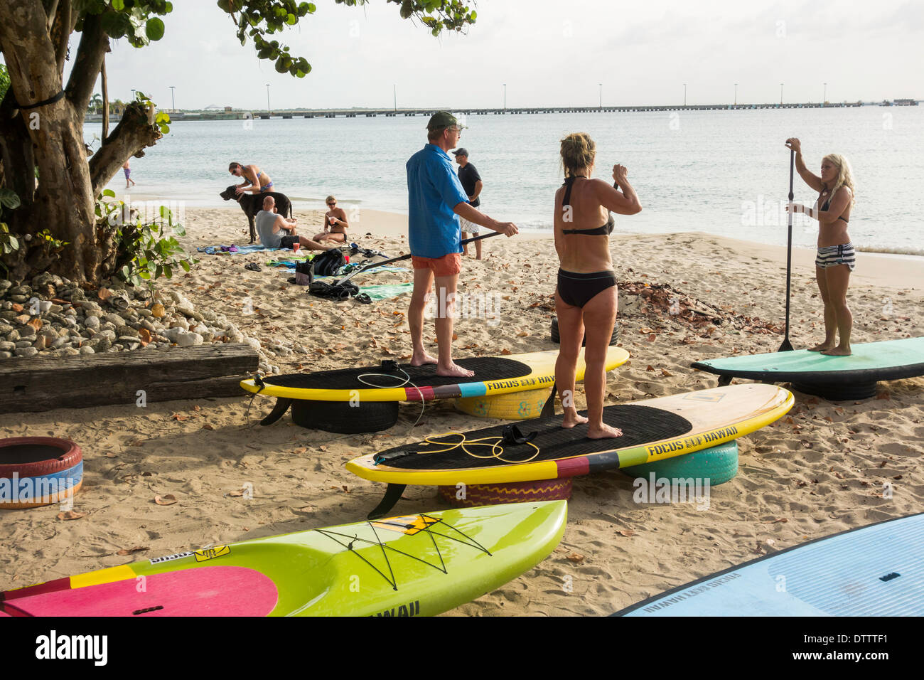 Une blonde donne un cours d'instructeur en stand up paddle à un homme de race blanche et d'une femme dans la trentaine. Sy. Croix, Îles Vierges des États-Unis. Banque D'Images