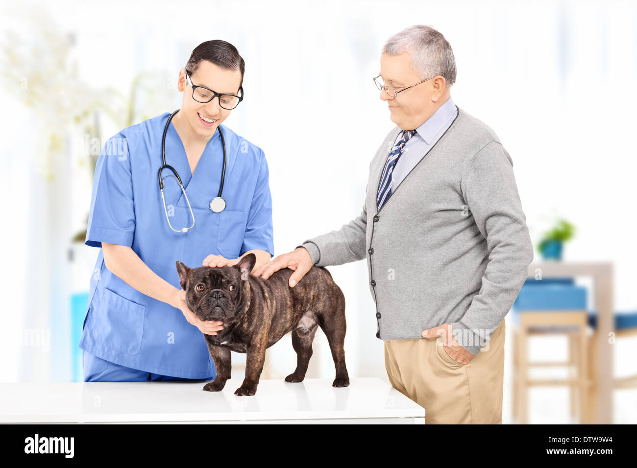 Man son chien à une pratique vétérinaire Banque D'Images