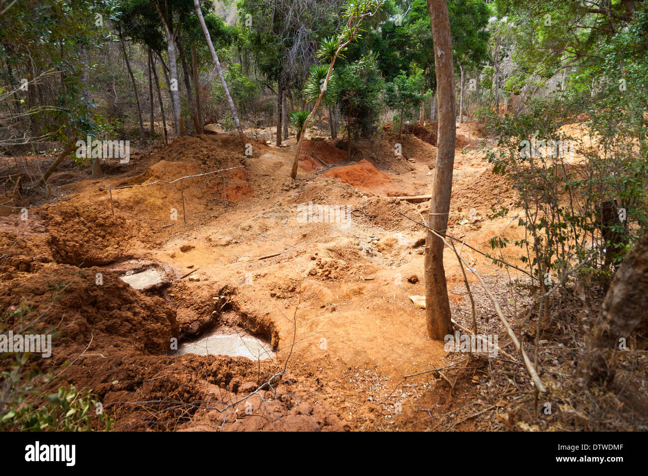 La masse de l'extraction de l'or Banque D'Images