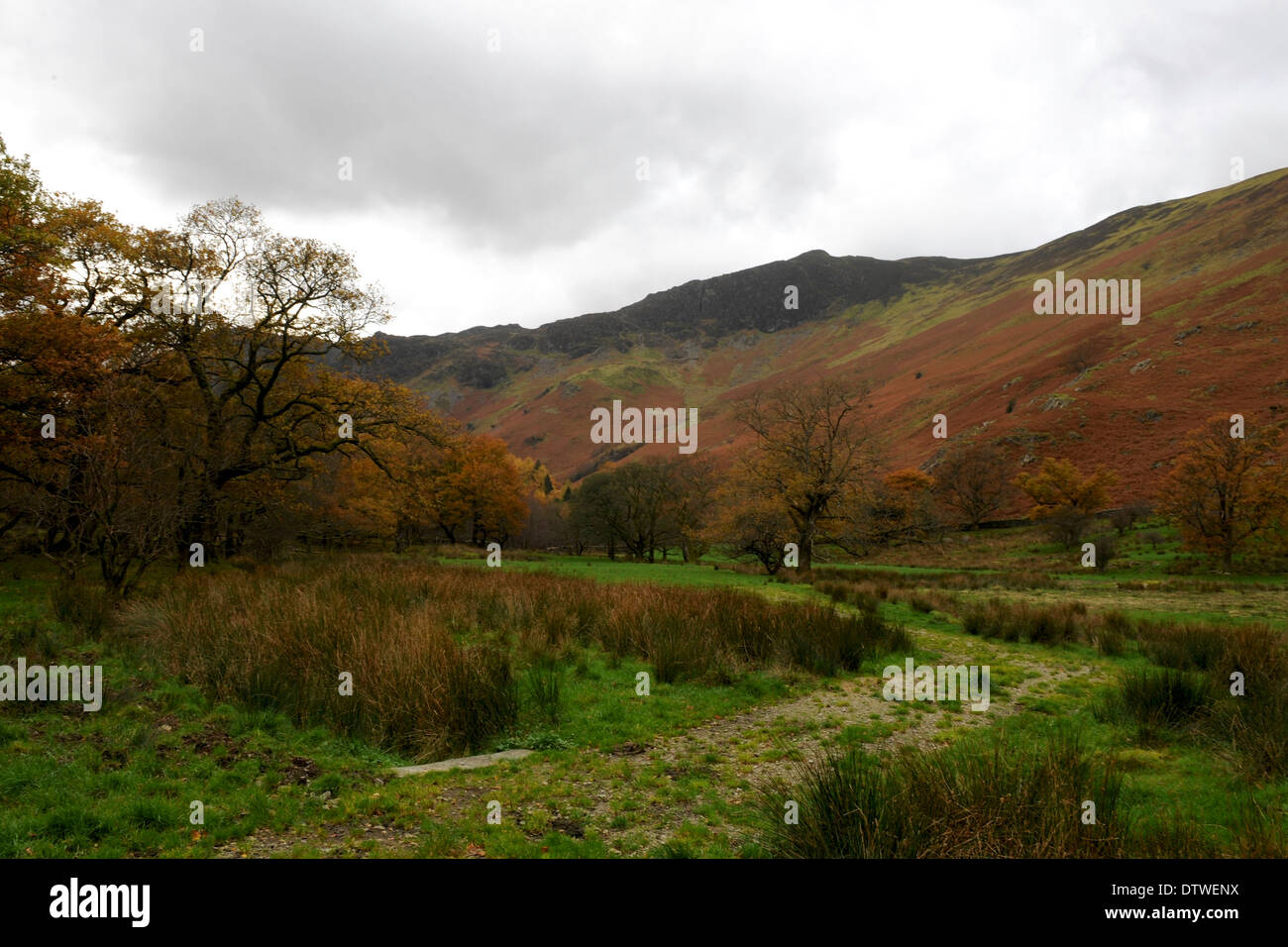 Les collines de la Petite Venise à la recherche de jeune fille jusqu'à Moor dans le Parc National de Lake District Banque D'Images