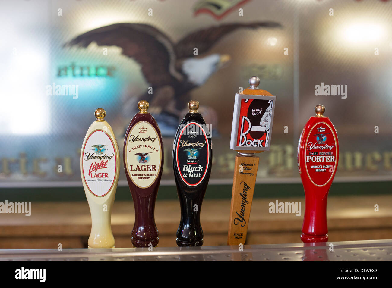 Tampa, Floride - Bières à la pression dans la salle de dégustation à la brasserie Yuengling. Les échantillons sont offerts après la visite de la brasserie. Banque D'Images