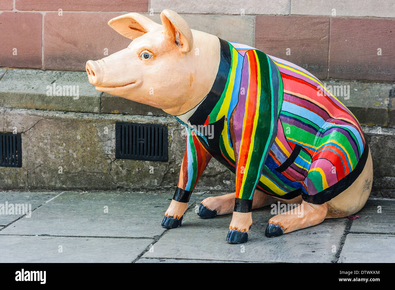Gros cochon en fibre de porter veste multicolores dehors, sur le trottoir dans le cadre de l'Angleterre .Lichfield Lichfield Festival. Banque D'Images