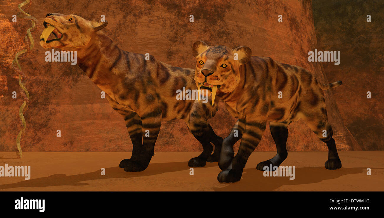 Deux chats Smilodon trouver protection dans un vaste système de grottes dans la période de l'Éocène. Banque D'Images