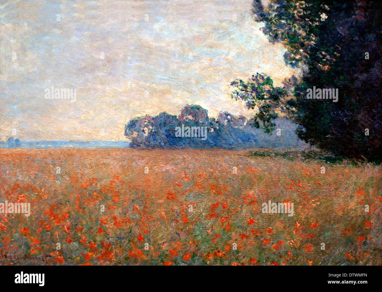 Champs d'avoine aux coquelicots - les champs d'avoine coquelicots 1890 Claude Monet 1840 - 1926 France Banque D'Images
