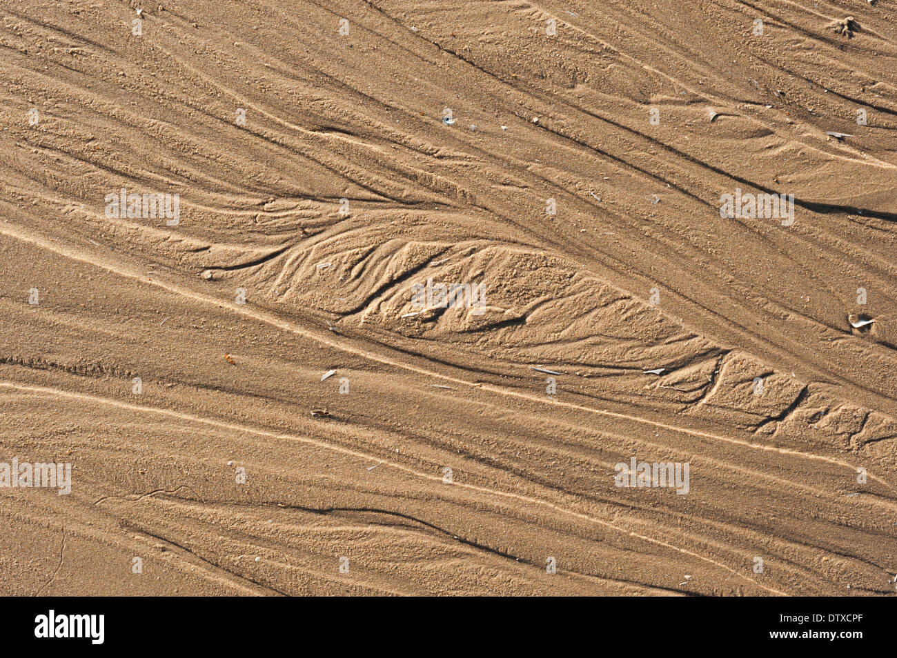 La plage de Titchwell, Norfolk. Banque D'Images