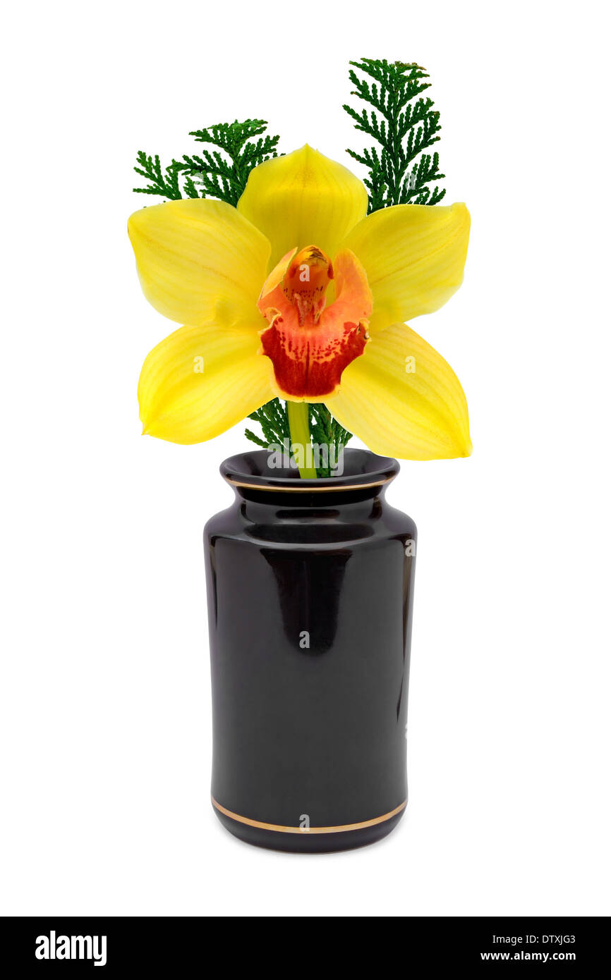 Fleur jaune (orchidée) dans un vase Banque D'Images
