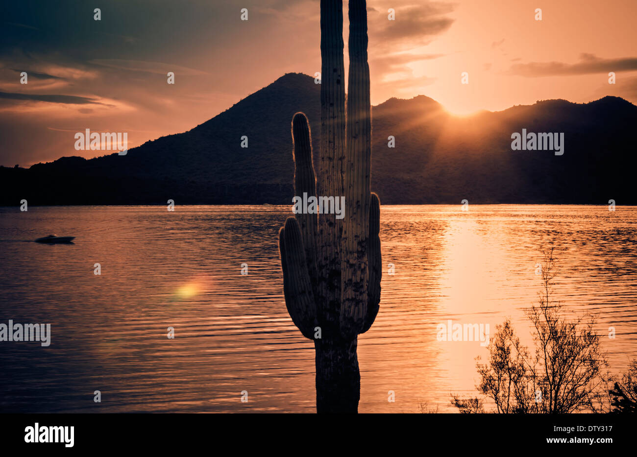 Le lac du désert de l'Arizona au coucher du soleil Banque D'Images