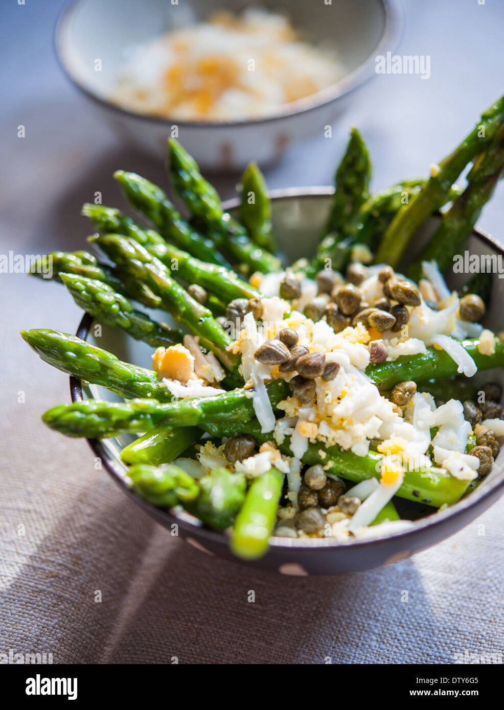 Asperges mimosa Banque D'Images