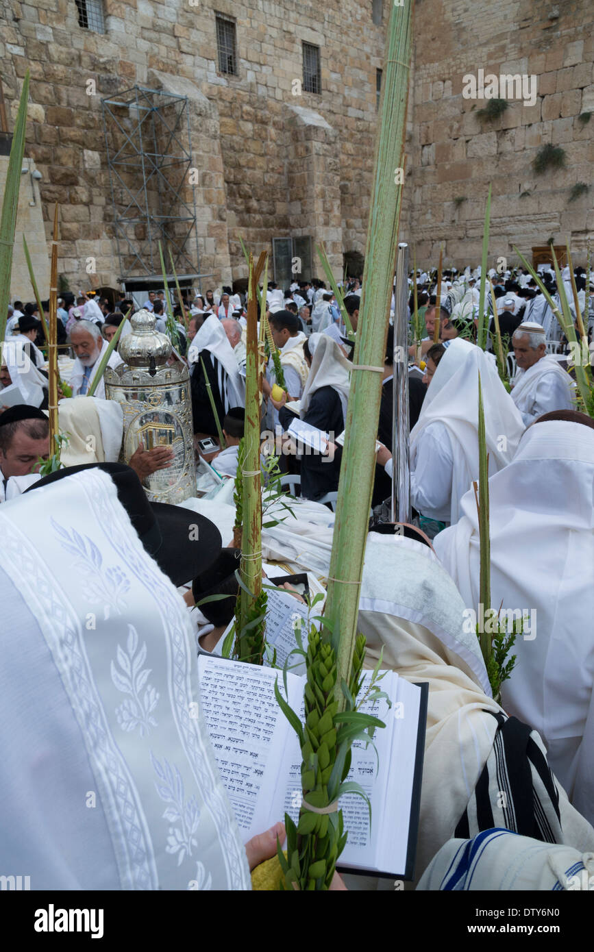 Les juifs en prière avec le loulav pendant la fête juive de Souccot. Mur ouest. Vieille ville de Jérusalem. Israël. Banque D'Images