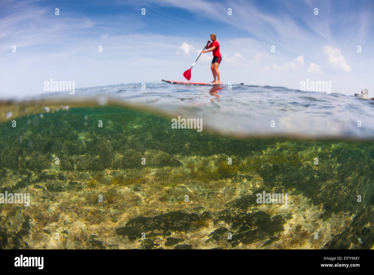 Une fille dans un rash vest paddleboards rouge dans les eaux claires du North Devon UK SUP (stand up paddleboarding) Banque D'Images