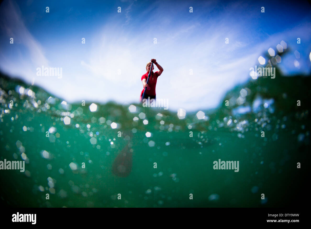 Une fille dans un rash vest paddleboards rouge dans les eaux claires du North Devon UK SUP (stand up paddleboarding) Banque D'Images