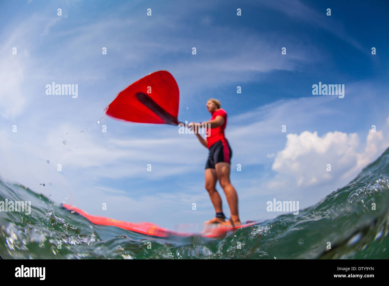 Une fille dans un rash vest paddleboards rouge dans les eaux claires du North Devon UK SUP (stand up paddleboarding) Banque D'Images