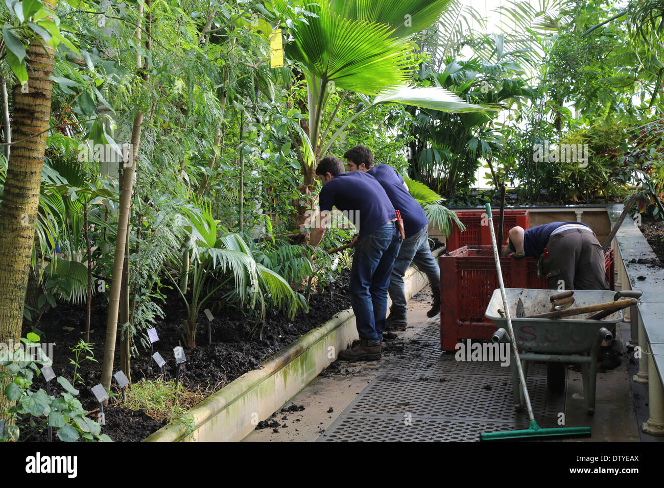 Les travailleurs Jardin Kew Banque D'Images