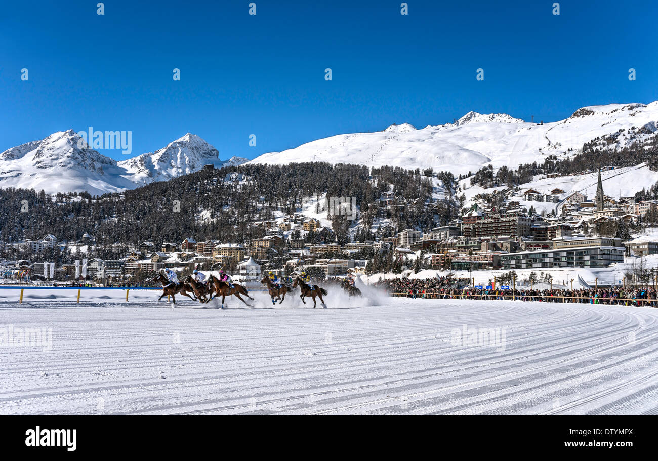 Course à cheval White Turf 2014 devant St.Moritz Dorf, Suisse Banque D'Images