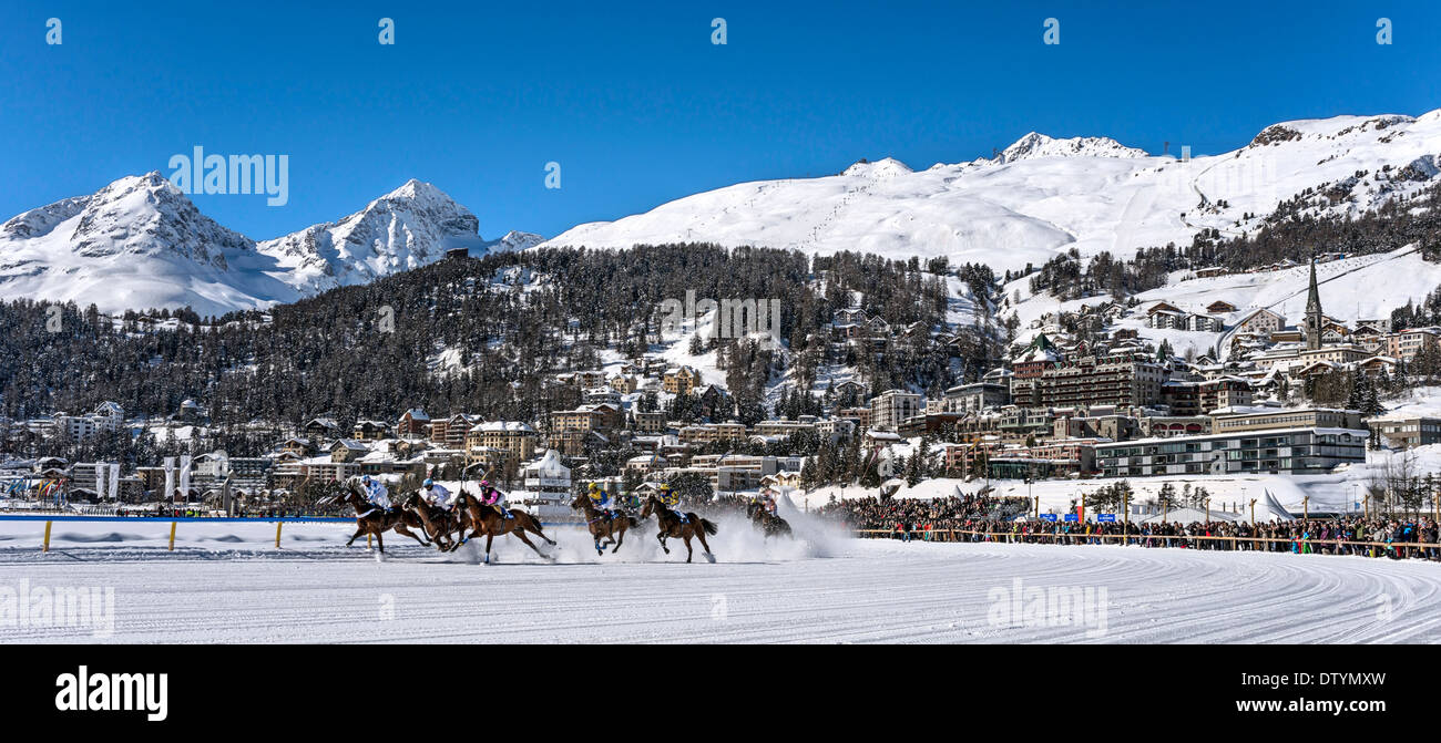 Course à cheval White Turf 2014 devant St.Moritz Dorf, Suisse Banque D'Images