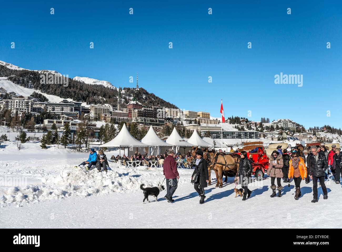 Course des spectateurs lors de la White Turf Course de Chevaux 2014, St.Moritz, Suisse. Banque D'Images