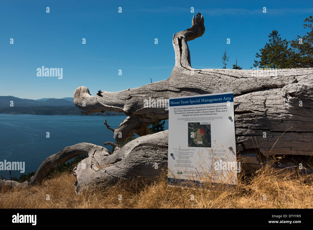Mt Tuam zone écologique sensible et zone spéciale de gestion, Salt Spring Island, British Columbia Canada Banque D'Images