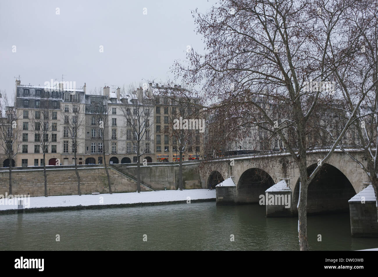 Seine, Paris, rives de la Seine, France Banque D'Images