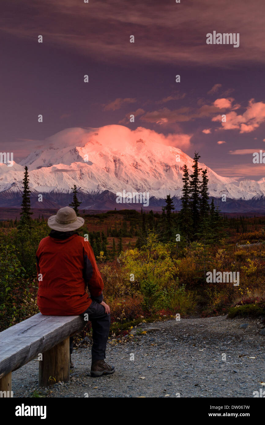 Un homme assis vues lumière du soir sur le mont McKinley (Denali) à partir d'un journal audience à Wonder Lake Campground, Denali National Park, AK Banque D'Images